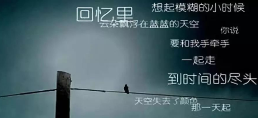 惠州市调查取证：我有过，而且比你想象得还要多